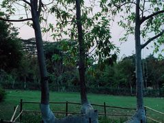 -东莞植物园