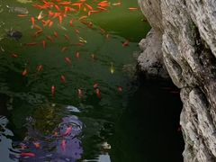 -南京市江宁方山