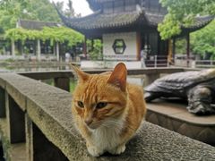 -西园戒幢律寺