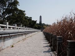 -江心屿景区