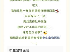-瑞派申生动物医院·24H夜诊·国际动物医疗中心·骨外科(吴中路店)