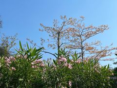 -万科前海企业公馆