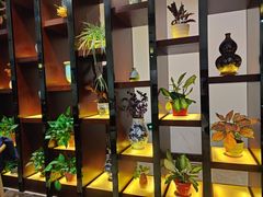 -冶春茶社(星汉大厦店)