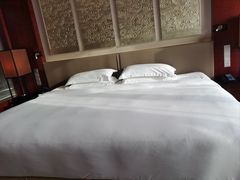 -北京首都机场希尔顿酒店