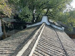 -龙华寺