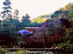 -云溪植物园