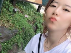 -伊豆泰迪熊博物馆