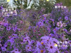 -长春公园(普阳街道)