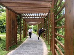-福田红树林生态公园