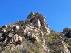 -大岭沟猕猴桃谷风景区