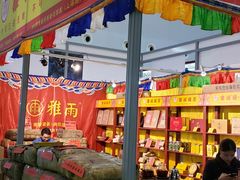 -东浩兰生上海世博展览馆