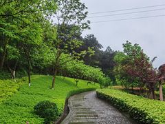 -铁山坪森林公园