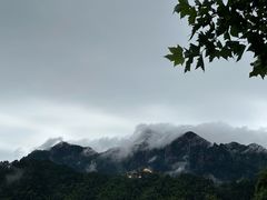 -九华山风景区-东崖禅寺