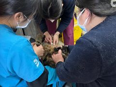 -宠颐生中康贝怡动物医院
