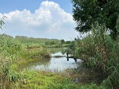 -沙家浜风景区