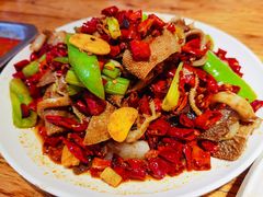 -福苗小骆驼烧烤(莲湖路店)