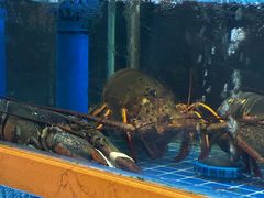 -宴悦海鲜餐厅·游水海鲜·牛排(亚龙湾瑞吉店)