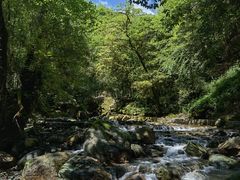 -西岭雪山大飞水景区