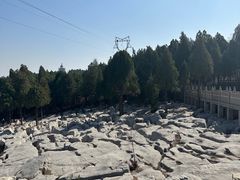 -原山国家森林公园