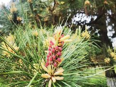 -汉景帝阳陵博物院