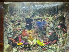 -太平洋海底世界