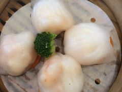 -东方御宴海鲜酒楼(棕泉酒店)
