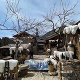 云南之旅大揭秘！跑男同款美食，你get了吗？