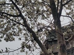 -潭柘寺景区