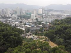 -金鸡山公园