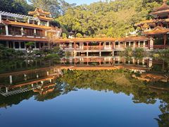 -深圳仙湖植物园