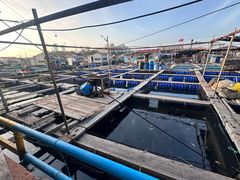 -蓝湾碧波·老字号·疍家非遗海上餐厅