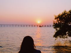 -宝安西湾红树林湿地公园