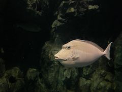 -珠海长隆海洋王国