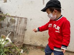 -大自然农场蔬菜草莓采摘园