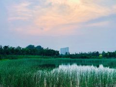 -张家湾公园