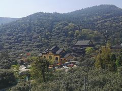 -树山生态村