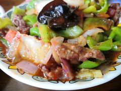 -歹歹的加个面过油肉拌面