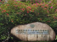 -中国科学院西双版纳热带植物园