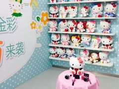 -Sony Store 索尼(上海淮海中路店)