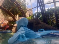 -新加坡水上探险乐园