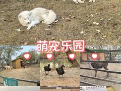 -长兴太湖图影湿地文化园