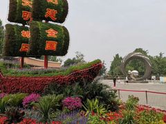 -大兴滨河森林公园