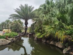 -厦门日月谷温泉渡假村