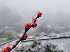 -杨家堂村