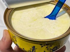 -德禄酸奶(莫家街店)