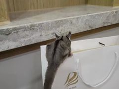 -杭州西湖东坡酒店