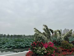 -武汉动物园
