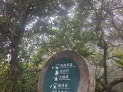 -海南铜鼓岭景区