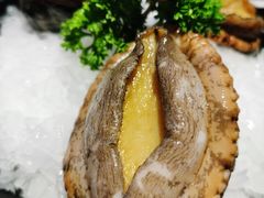 六头鲍鱼-捞围鲜·港式打边炉(海阳路店)