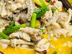 -老福洲(西洪路店)